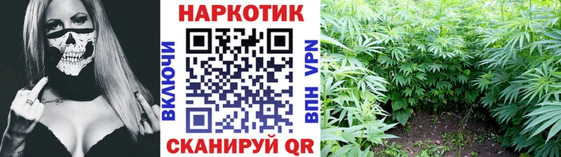 Цена Болотное Alpha PVP  КОКАИН  Мефедрон  МАРИХУАНА 