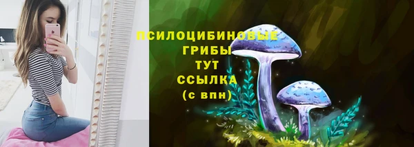 spice Богданович