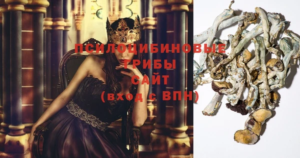 гидропоника Инта