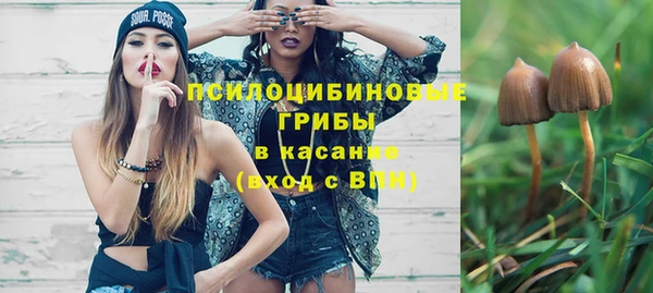 spice Богданович