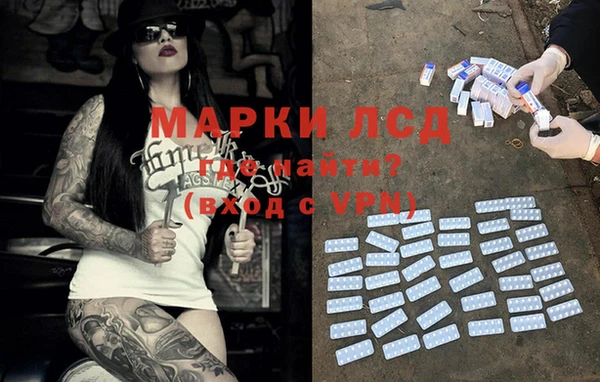 spice Богданович