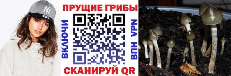 кракен рабочий сайт Болотное Галлюциногенные грибы прущие грибы наркотики