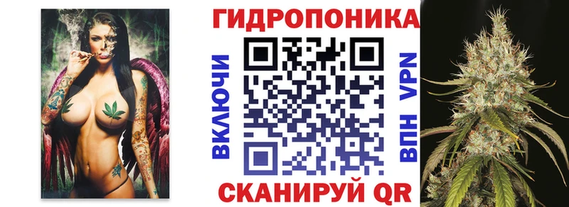 продажа наркотиков Болотное Каннабис Amnesia